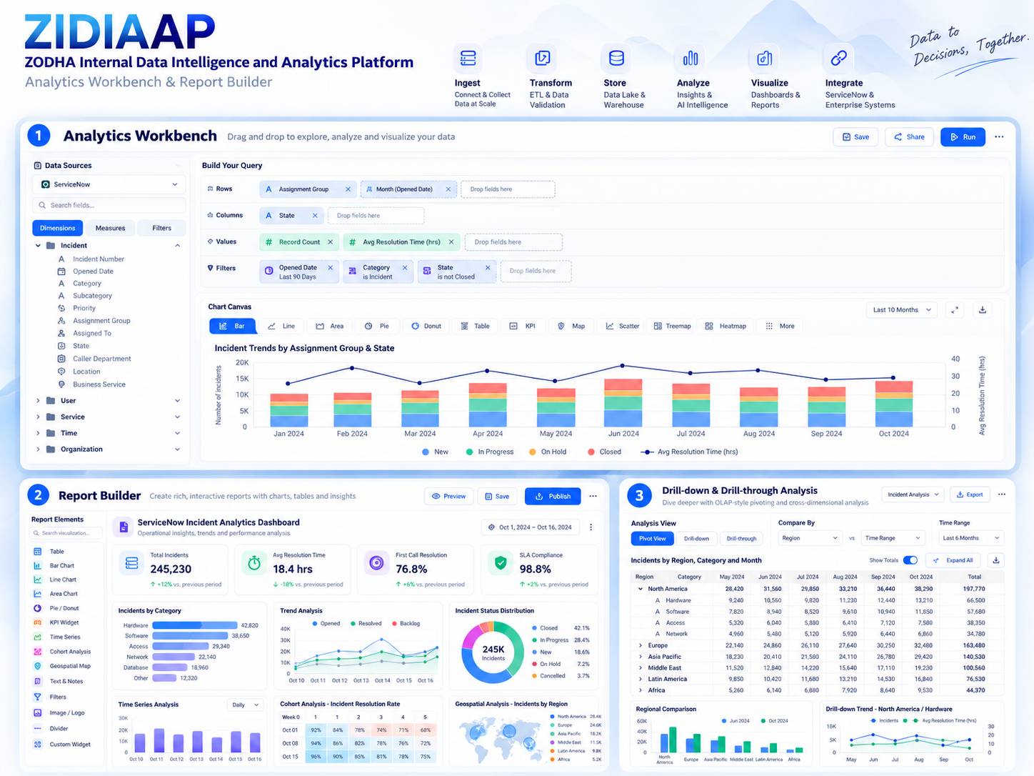 ZIDIAAP analytics workbench and reports